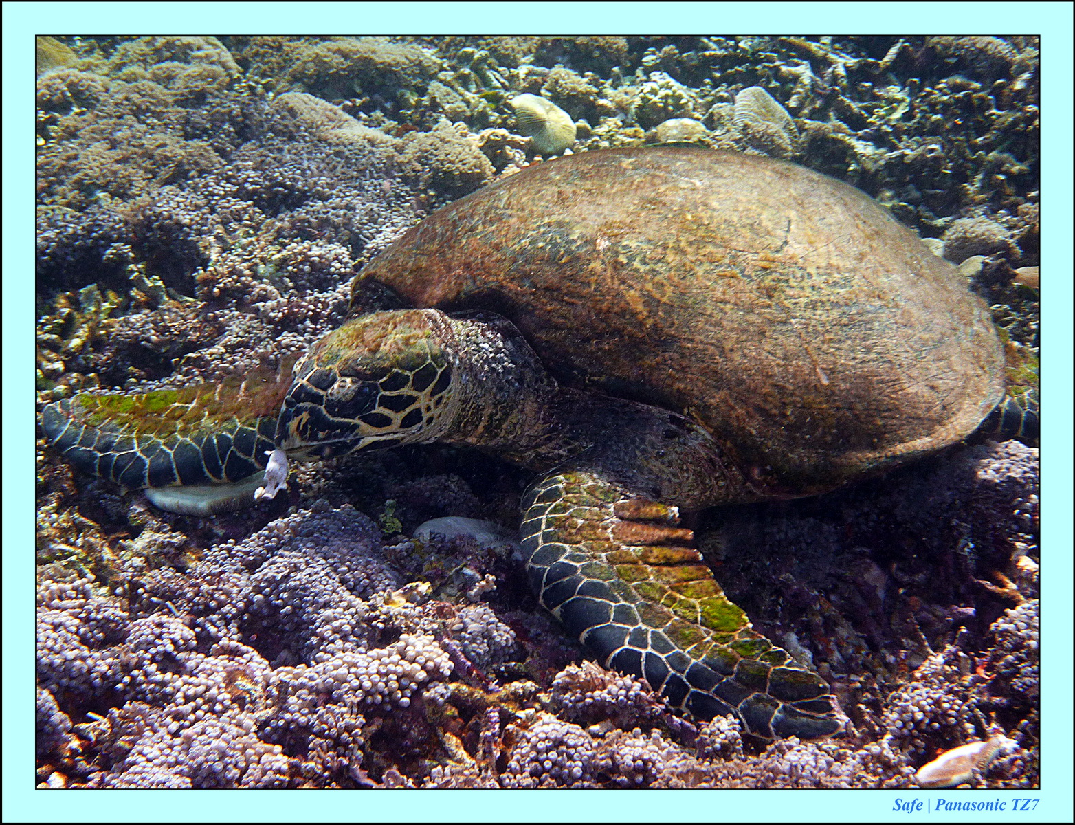 2012 - 07 - Gili - 77